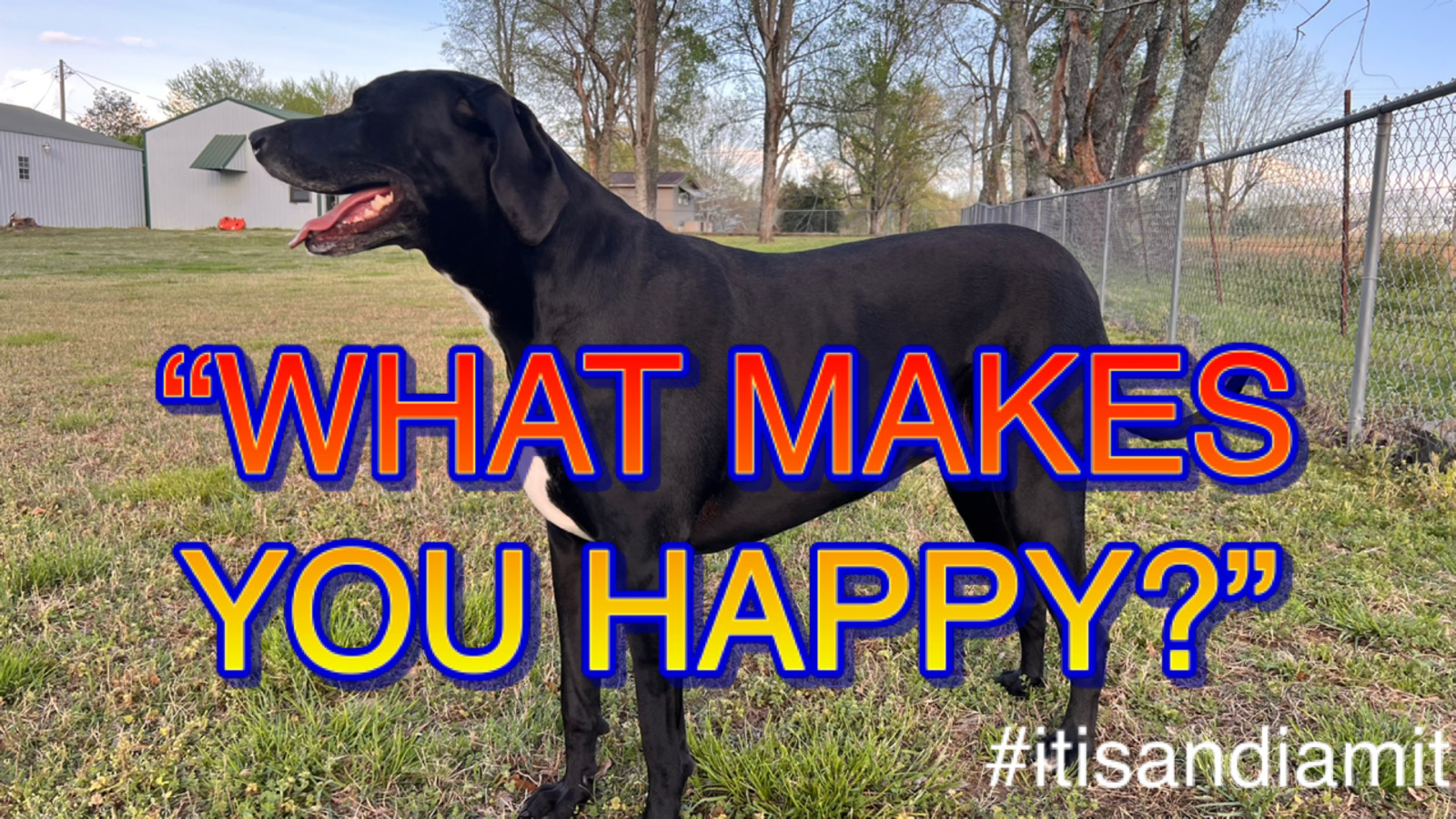 What Makes You Happy IN the GAME with DOC