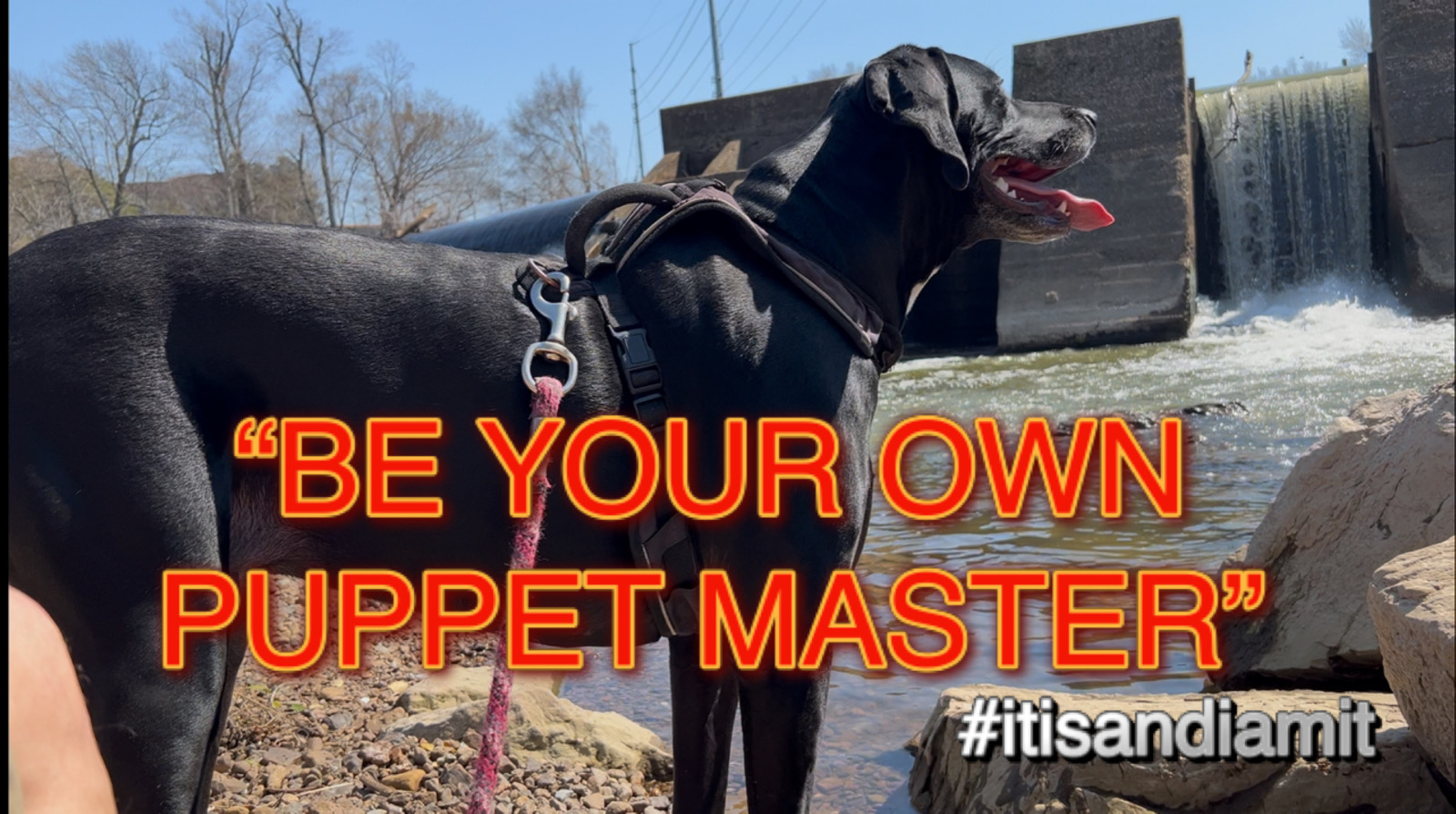 BE YOIR OWN PUPPET MASTER
