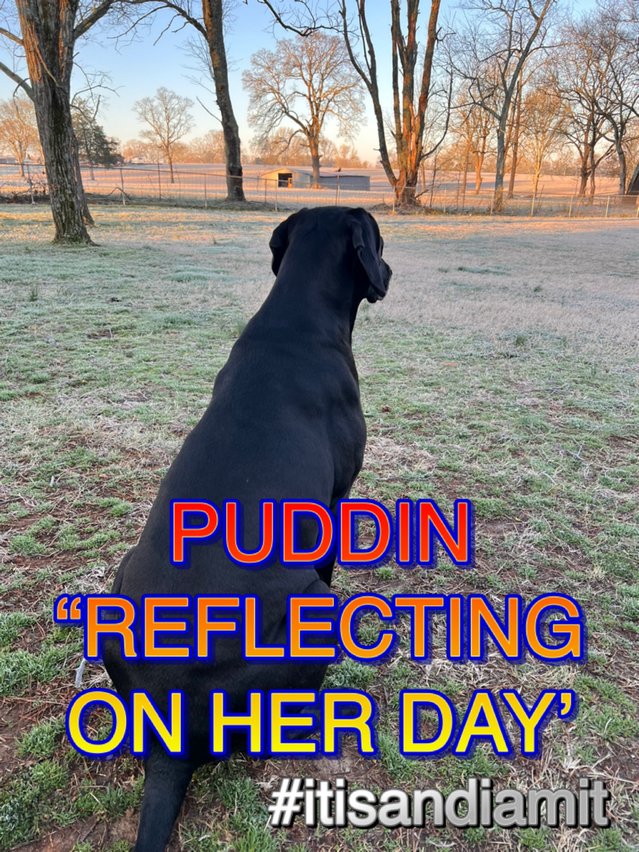 Puddin reflect on her day
