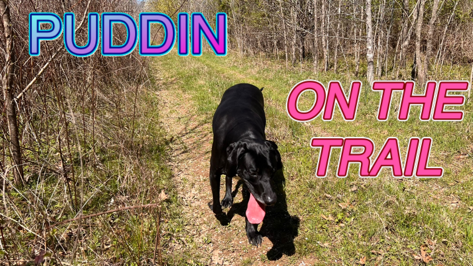 ADVENTURE OF DOC and PUDDIN - Puddin On the Trail 