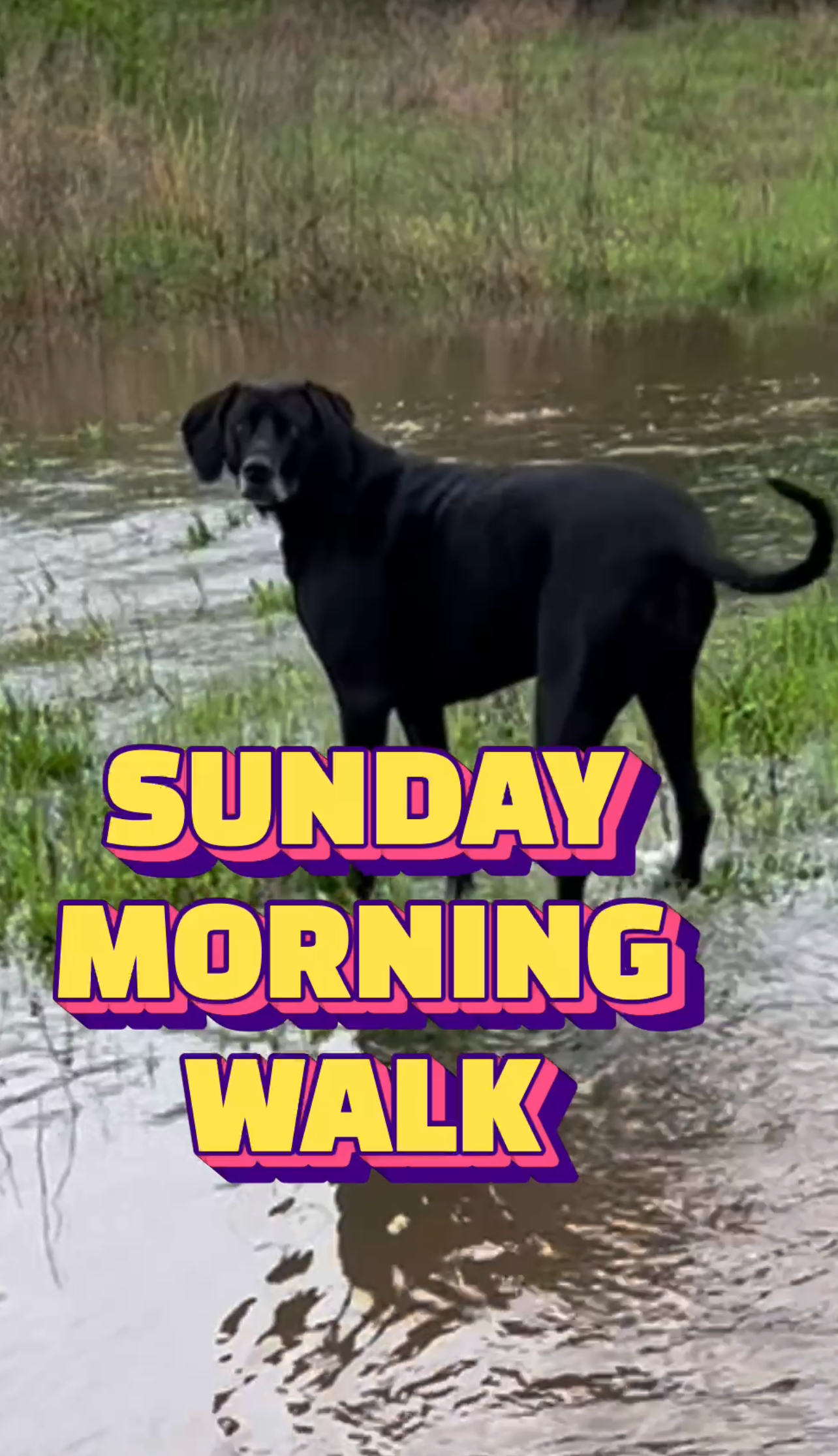 SUNDAY MORNING WALK, AFTER THE STORMS in NORTH ALABAMA APRIL 6 2025