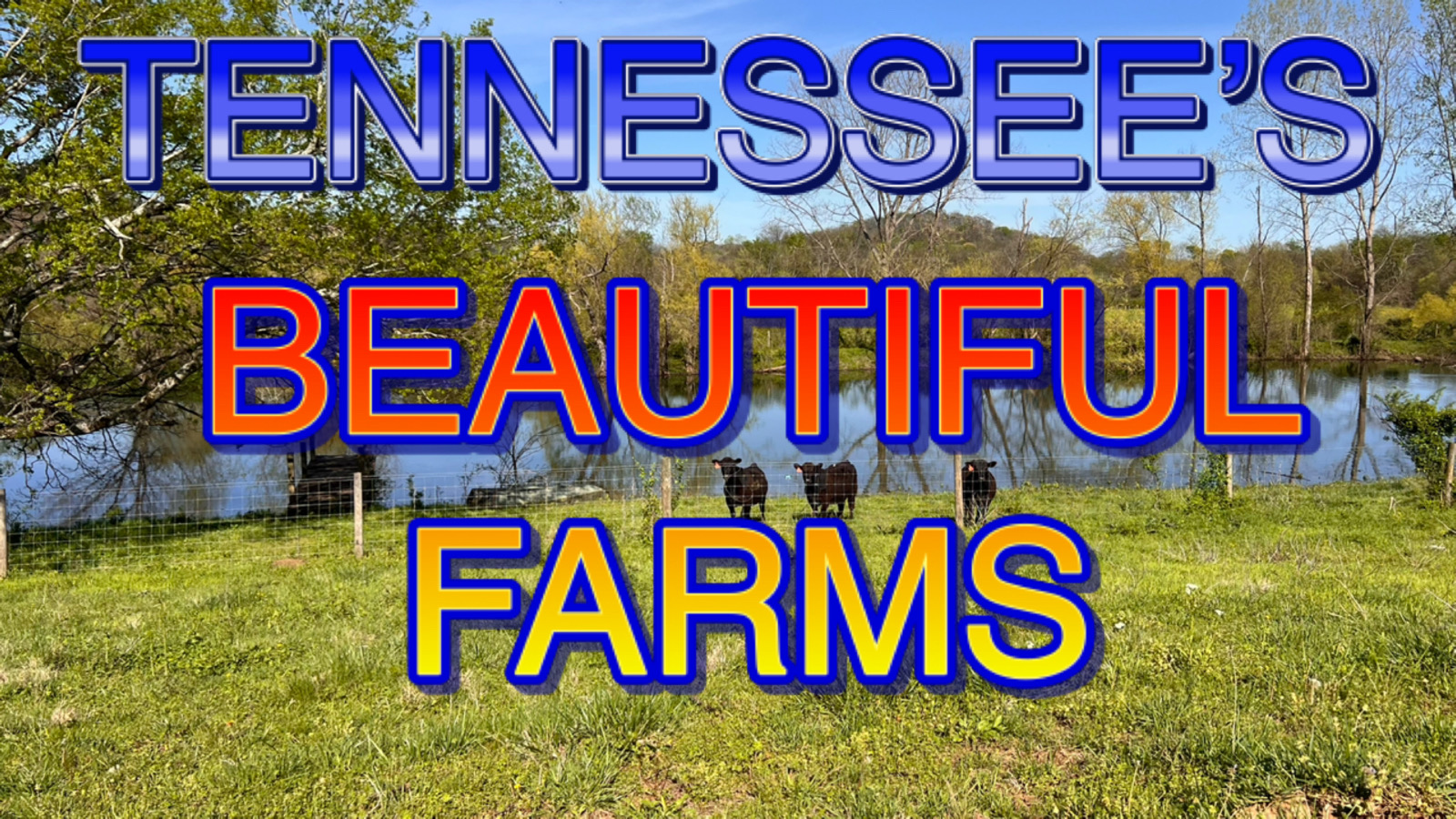 TENNESSEE'S BEAUTIFUL FARMS - MAYFIELF FARMS GILES COUNTY
