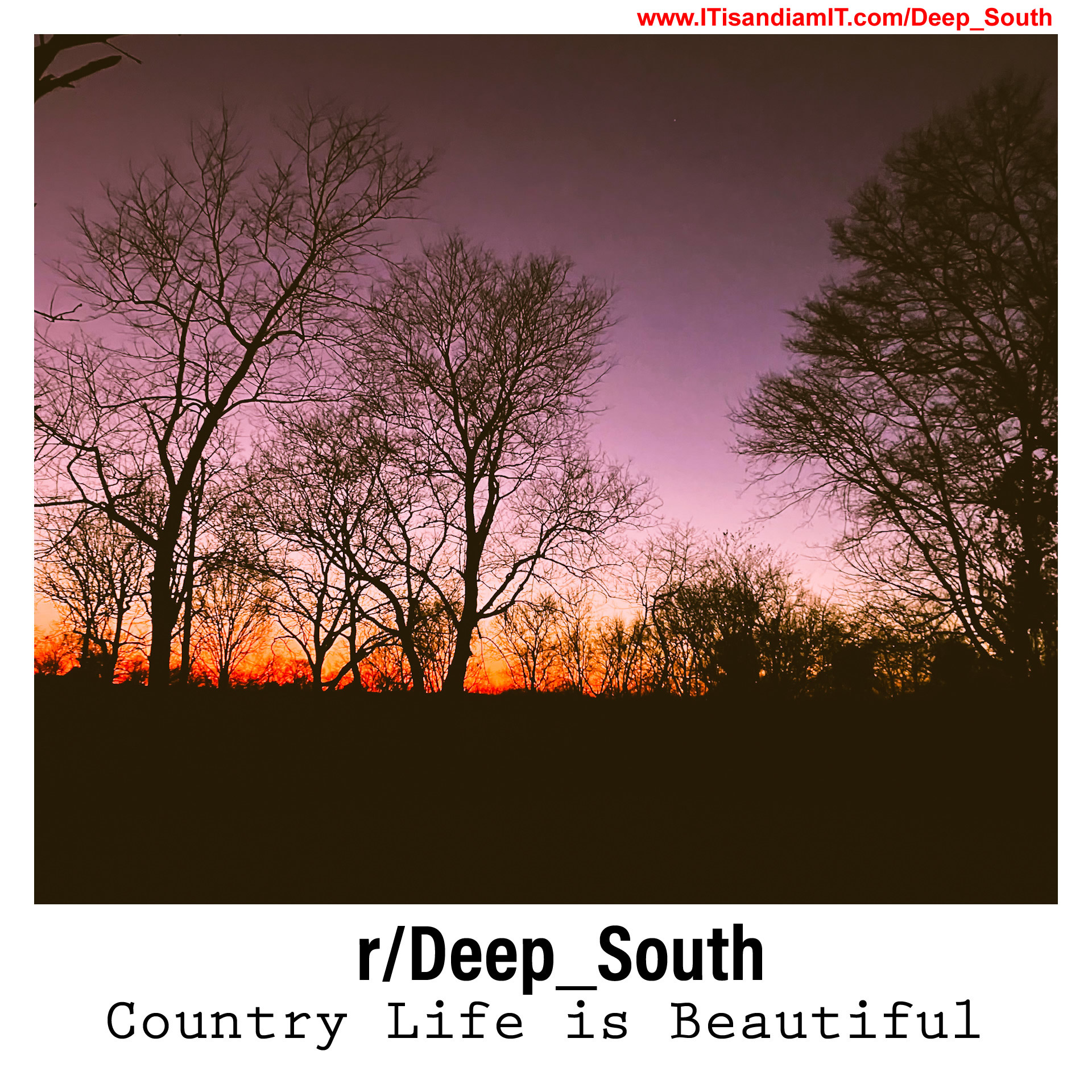 Deep South is Docs Newest Reddit Community Click the Image to visit this Community on Reddit.