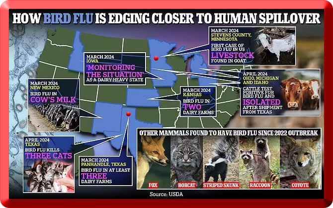 Map showing different Mammals and the areas where they have been infected with the Bird Flu H5N1 virus.  