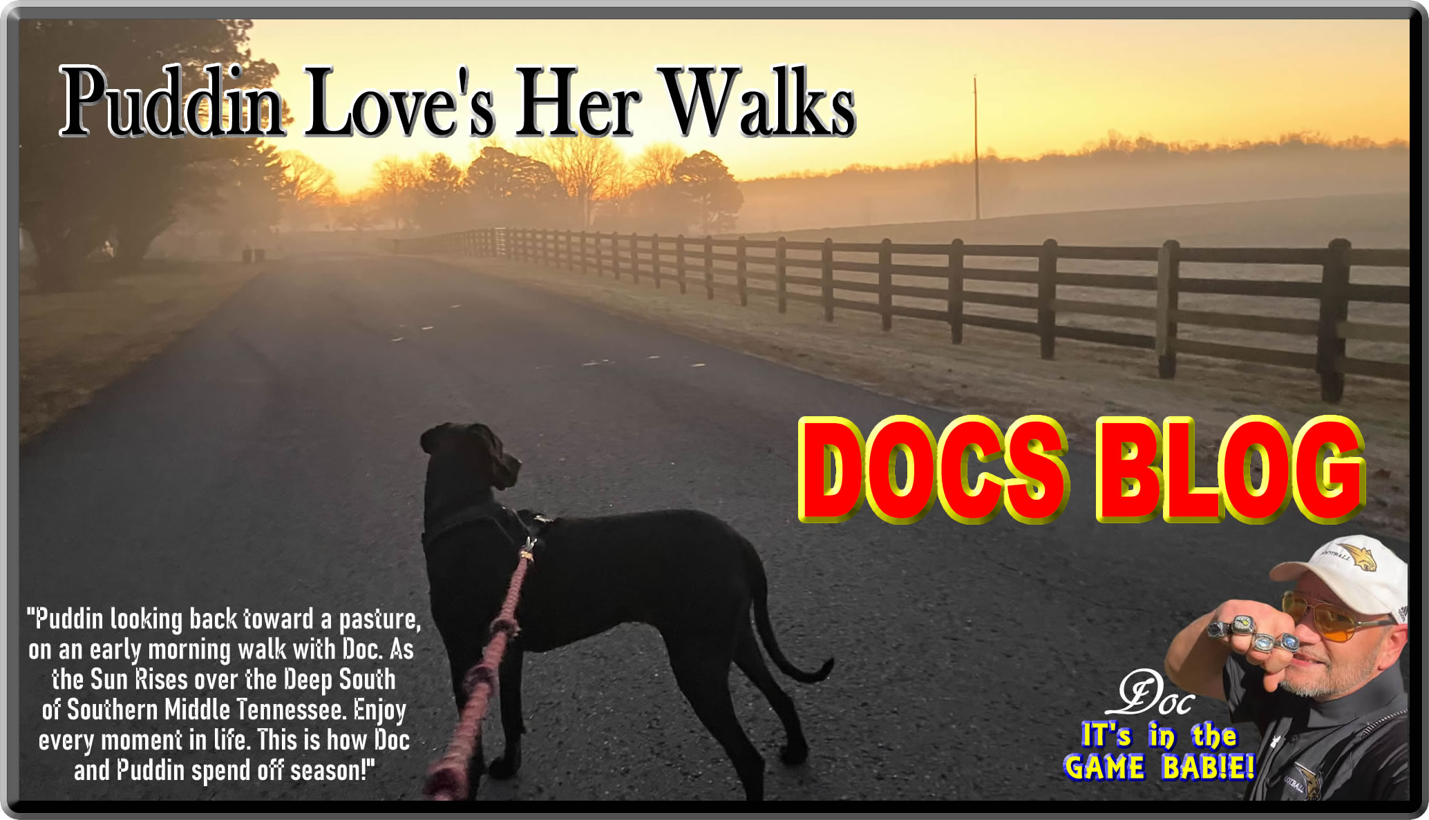 Puddin' loves her walks in the Country. by Donnie OConnor