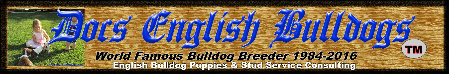 Docs English Bulldogs Facebook Page