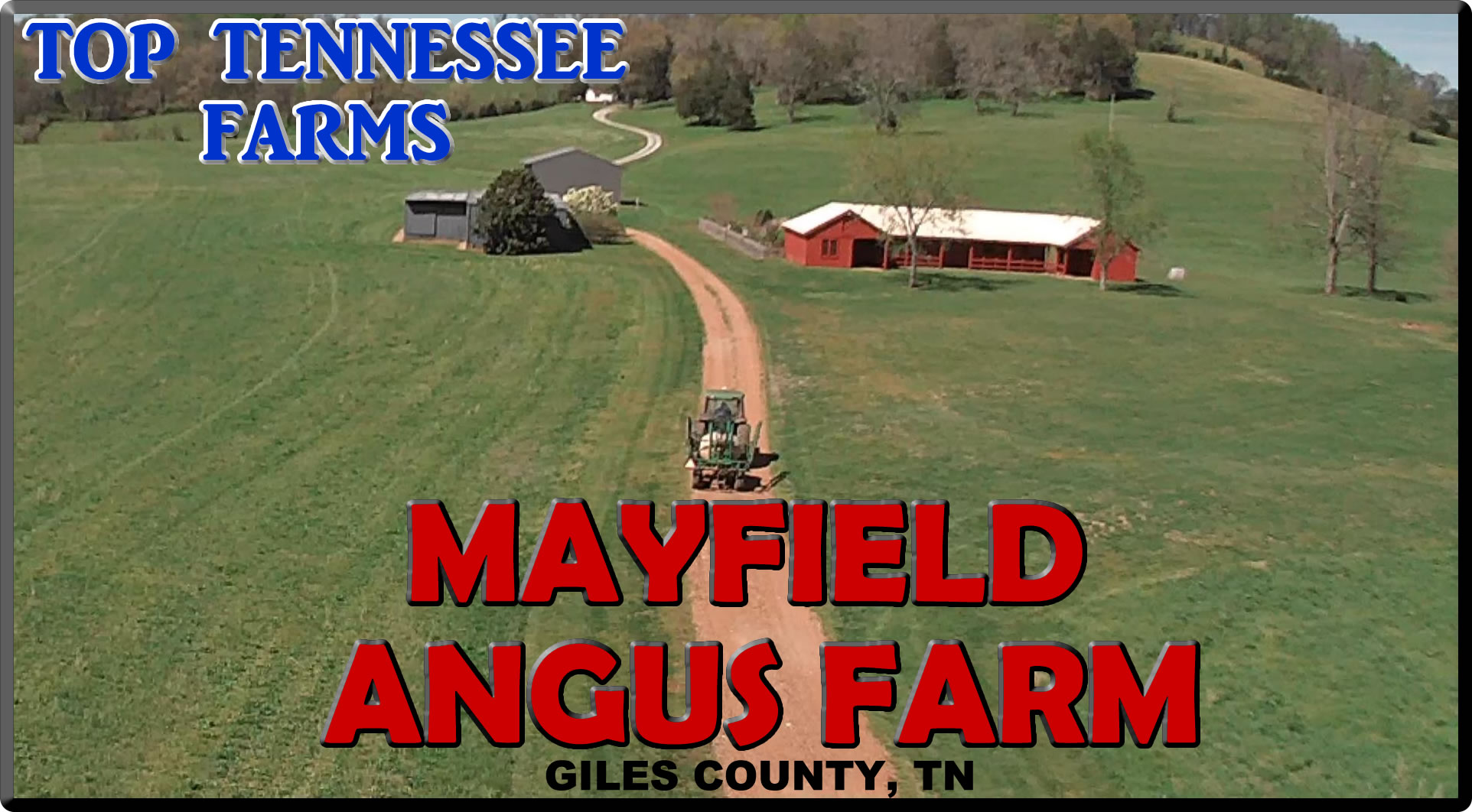 Mayfield Angus Farm 