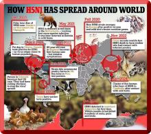 Map showing how the Bird Flu H5N1 has spread around the World.